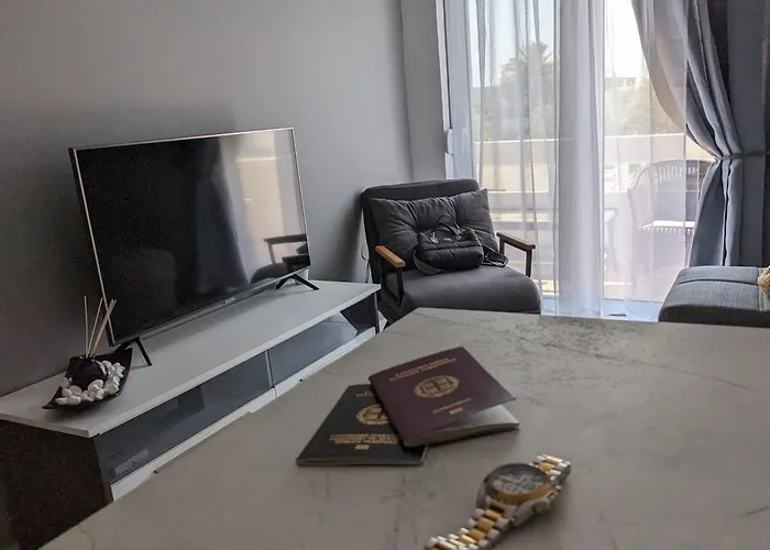 Apartment Mini Mansion